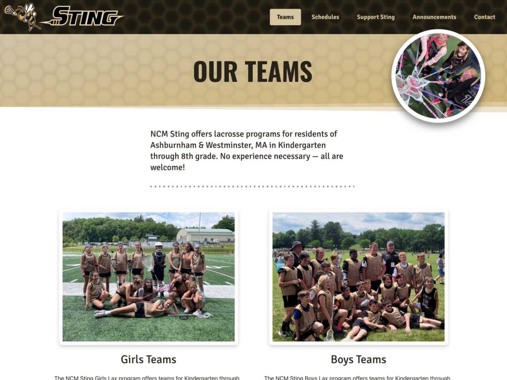 Sting Website 2022, All Teams page.
